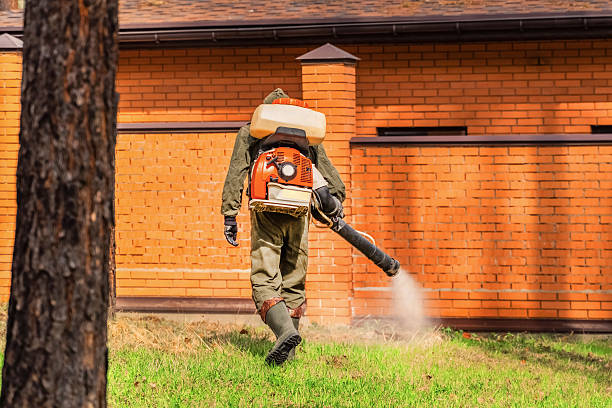 Trusted Fumigation Services service in Maili, HI - Nex Pest Control